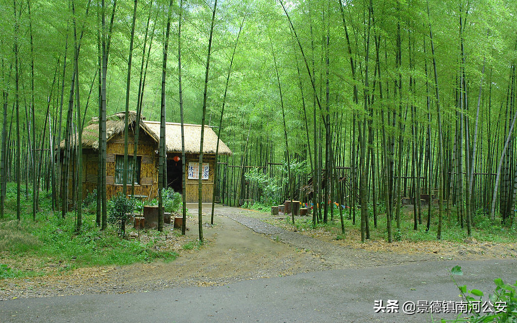 诗词丨20首洗涤心灵的诗词：岁月常静好，人间最值得！