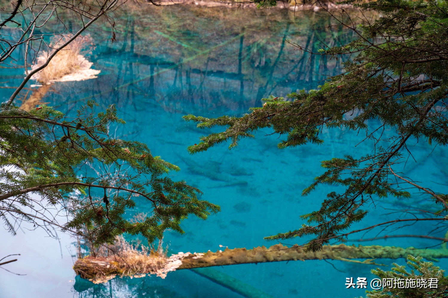 “此景只应天上有”，为之沉醉的九寨沟