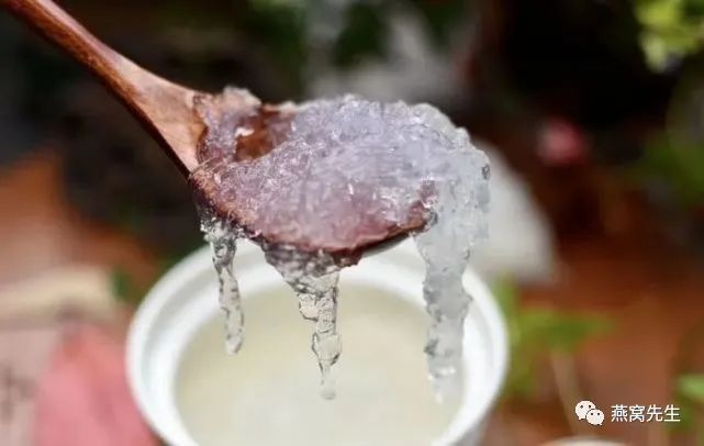 牛奶炖燕窝的正确方法（炖燕窝的方法和步骤）
