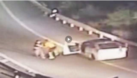 男子伤人后拒捕袭警被击毙【三分钟法治新闻全知道】