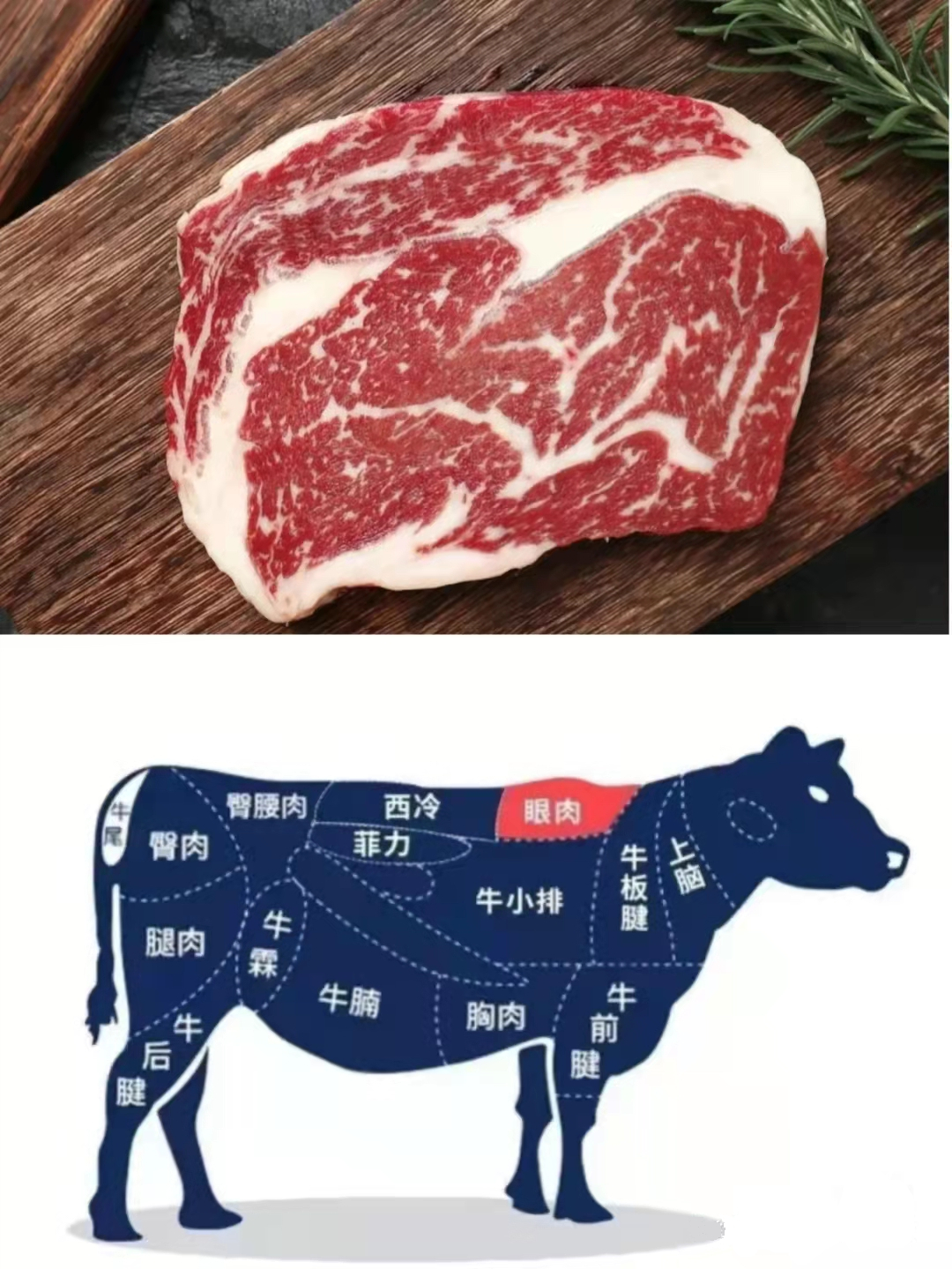 牛肉和牛腩有什么区别（牛肉不同部位区别）