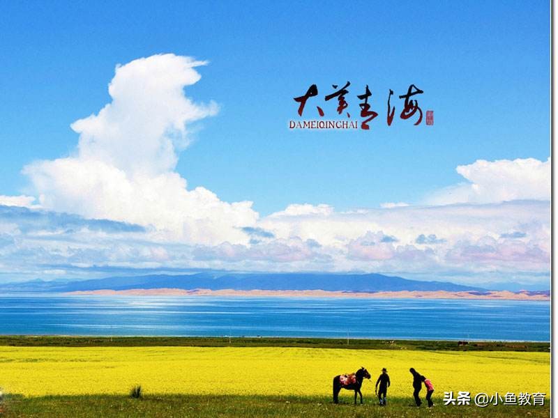 23个省中，2020年省内排名前3的大学！青海篇