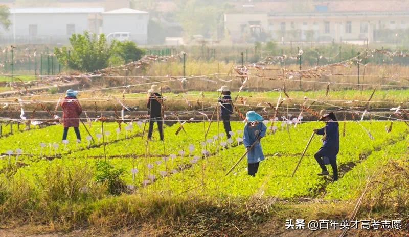 大学也有“外号”？看哪所大学能凭借“绰号”笑傲江湖