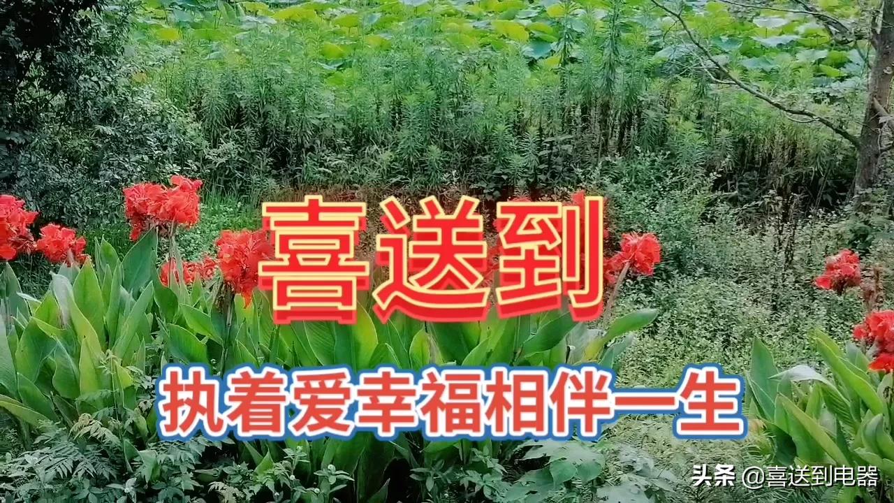 冒菜加盟需要注意哪些关键要点，细节，方面问题？值得一看