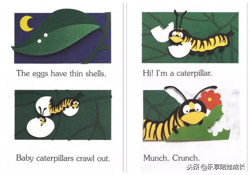 绘本磨耳朵：I'm a Caterpillar 中文《我是一条毛毛虫》！