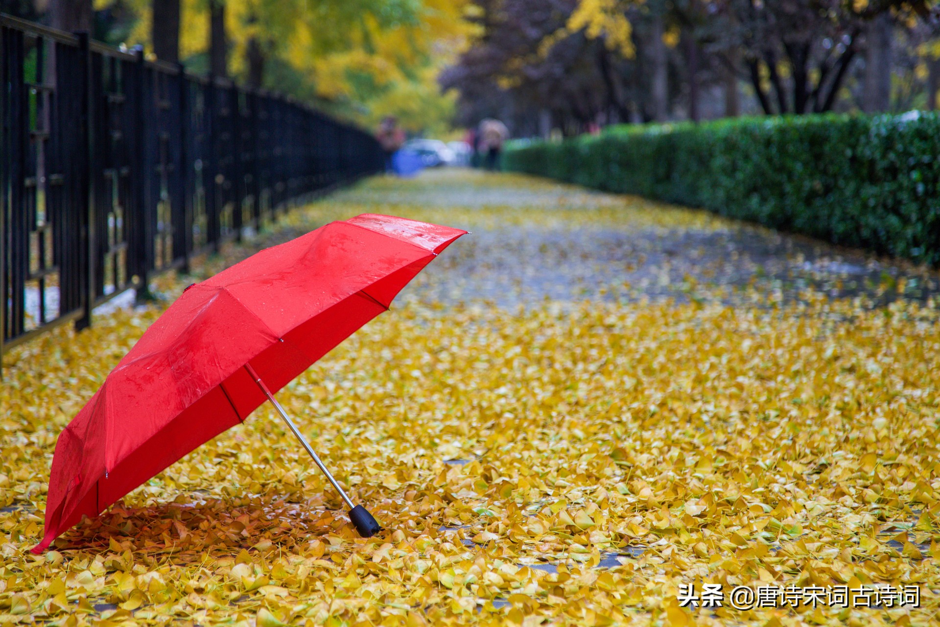 立秋过后，秋雨来袭