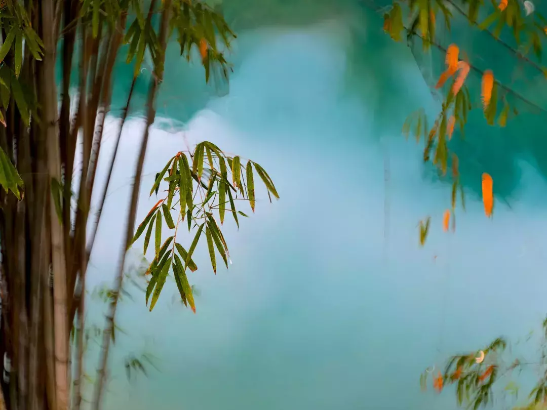 手机就能拍出唯美中国画？画意摄影居然这么容易！