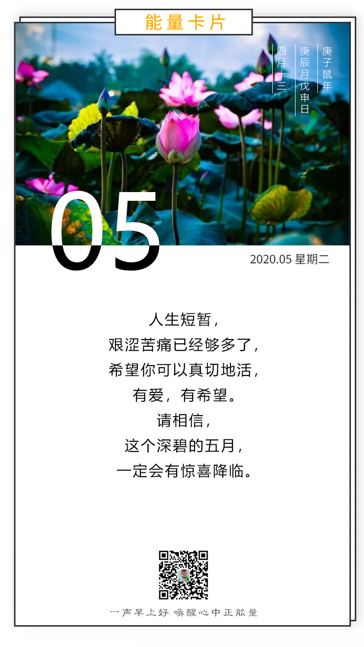 星期二正能量早安图片日签带字：自由绽放，追梦不息！