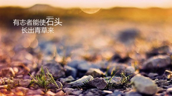 2022南京师范大学844细胞生物学考研复习资料（含历年考试试题）