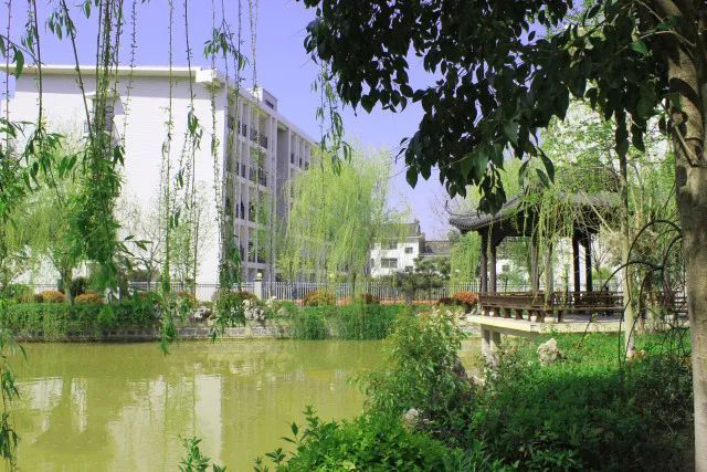 江苏连云港2020高考五所好高中，新海中学创佳绩，包揽市文理状元