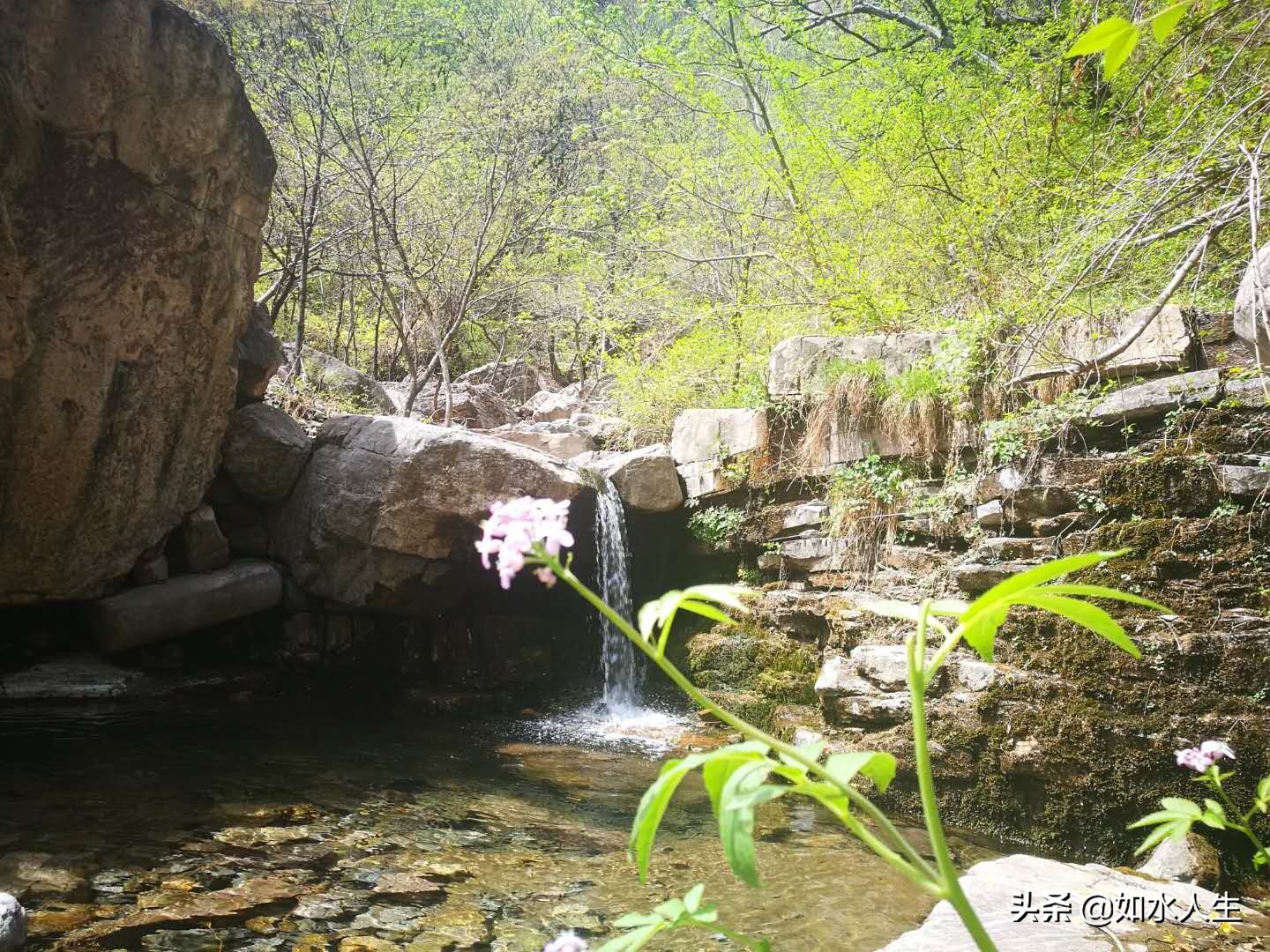 春游天平山