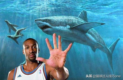 球星的业余爱好你见过吗(NBA球员的奇葩“爱好”：老虎鲨鱼都拿来当宠物，库里有恋足怪癖)