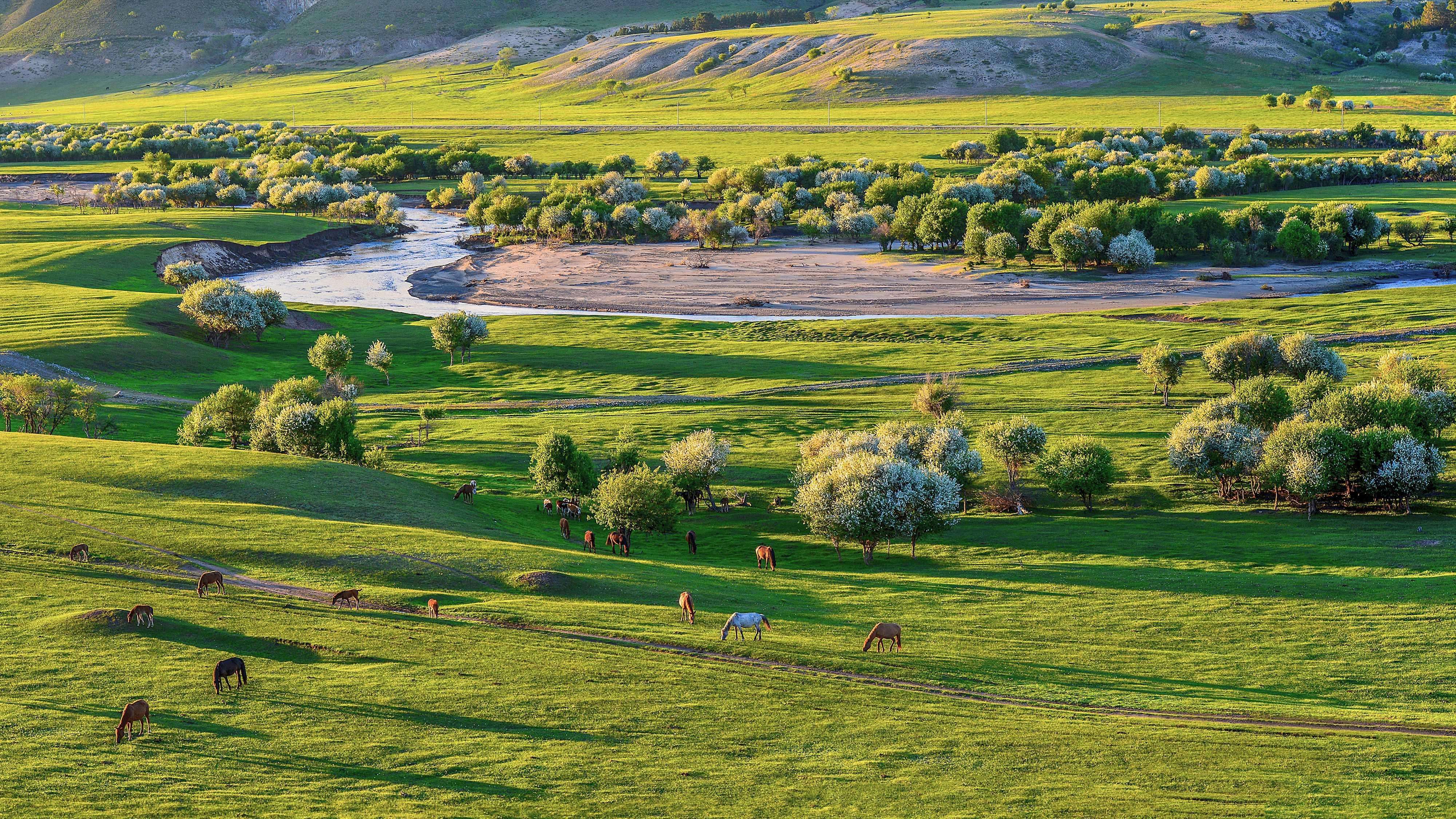 中国最美的六大草原!夏天旅游,和草原最配哦