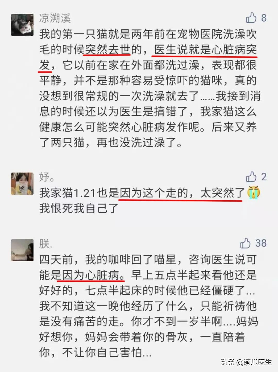 驾驶人体检项目,医院驾驶人体检项目