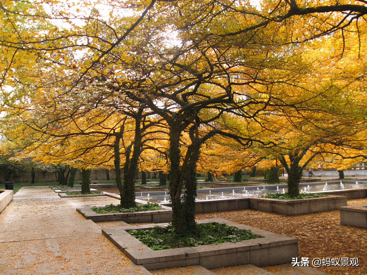 美国景观大师丹·克雷的设计哲学