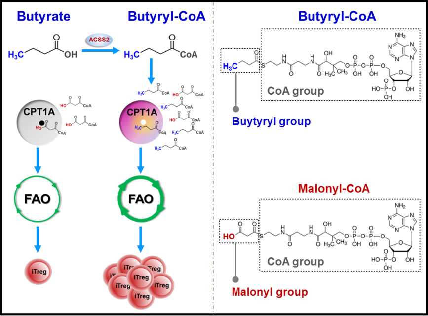 聚焦全球危机！东北一高校连出重磅成果，获国际关注