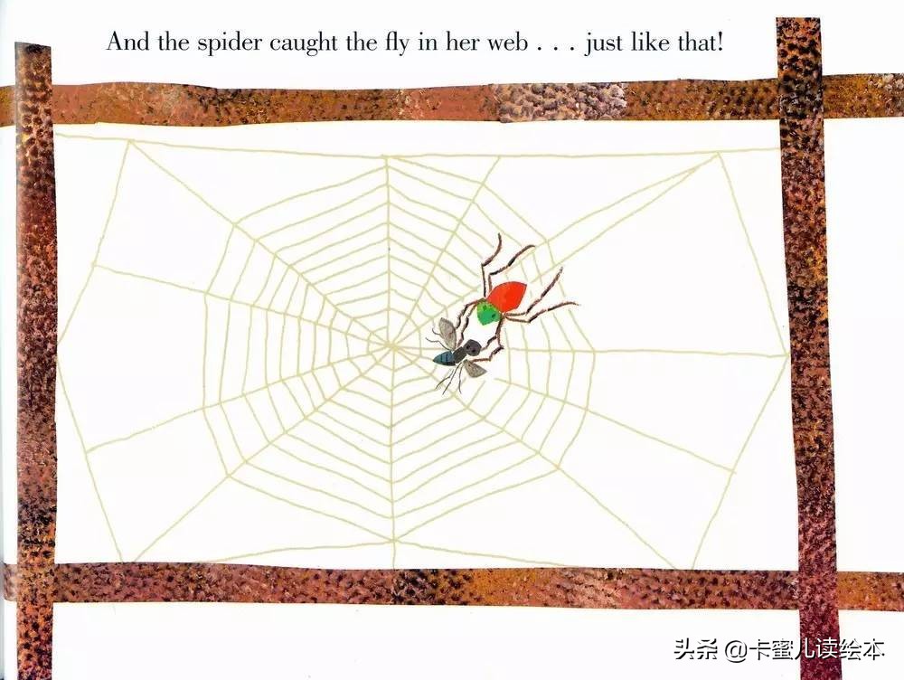 英文有声绘本《The Very Busy Spider》好忙的蜘蛛