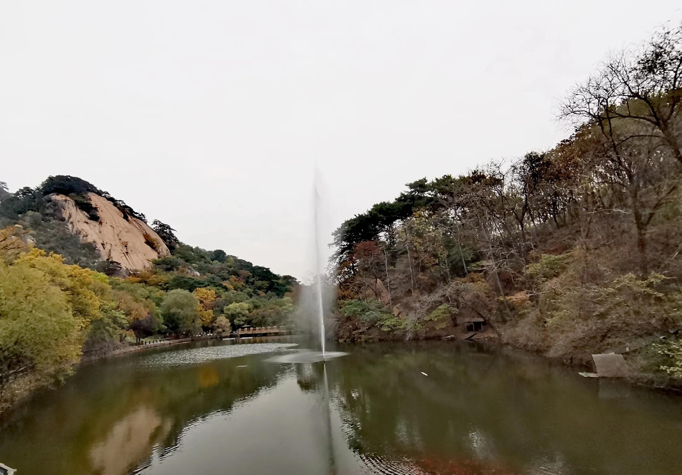 重阳登高有感