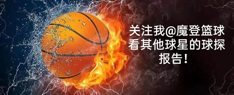 cba马布里是哪里人(NBA球探报告：CBA名宿——斯蒂芬.马布里)