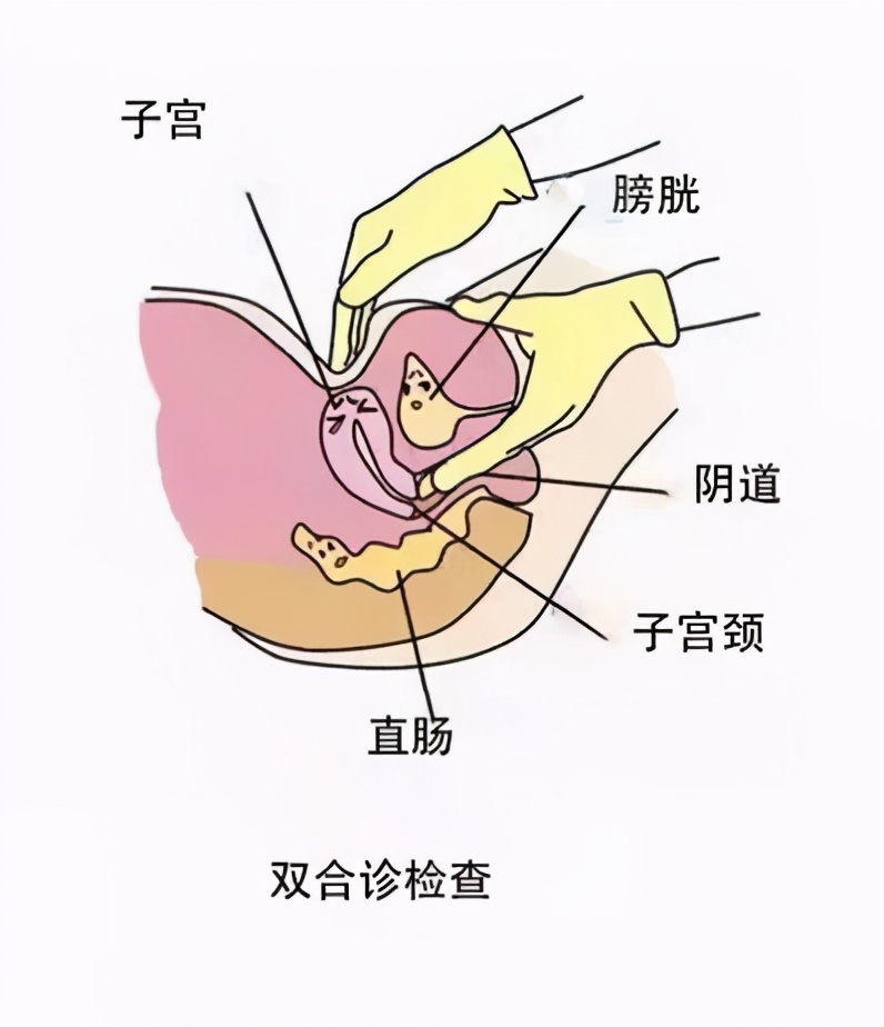 腹痛去就诊,医生却把手指伸进阴道:性侵与治病只隔了一层窗户纸