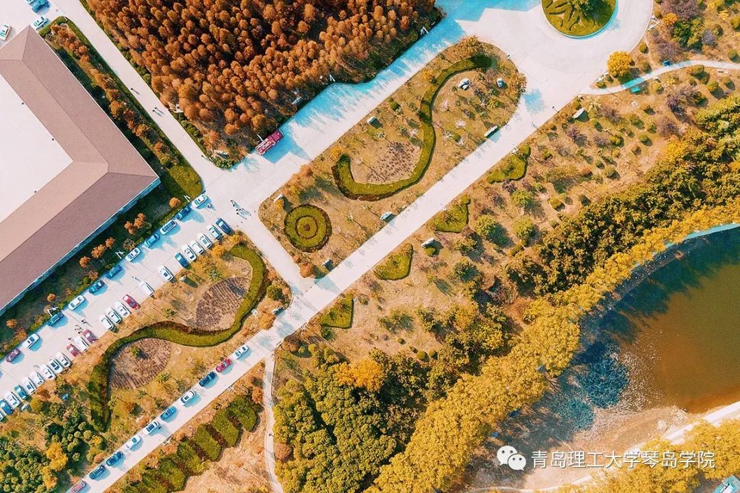 青岛理工大学琴岛学院：我把你画成画，与你平分琴院的秋色