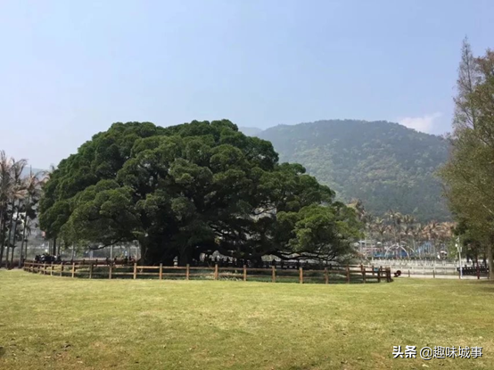 盘点福建10大最适合中老年人旅游的地方，趁端午小长假带长辈走走