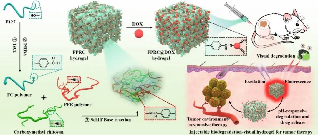 2020软科中国大学排名，西安交大全国第6，前十中唯一一所西部高校！