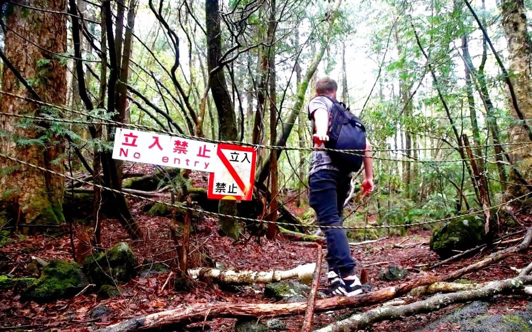 青木原(世界死亡之地系列-“自杀圣地”青木原林海)