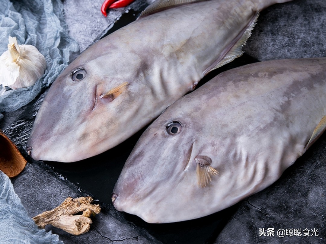 海魚都有哪些(買魚時,內行人專買這8種野生海魚,難以人工養殖,看完長