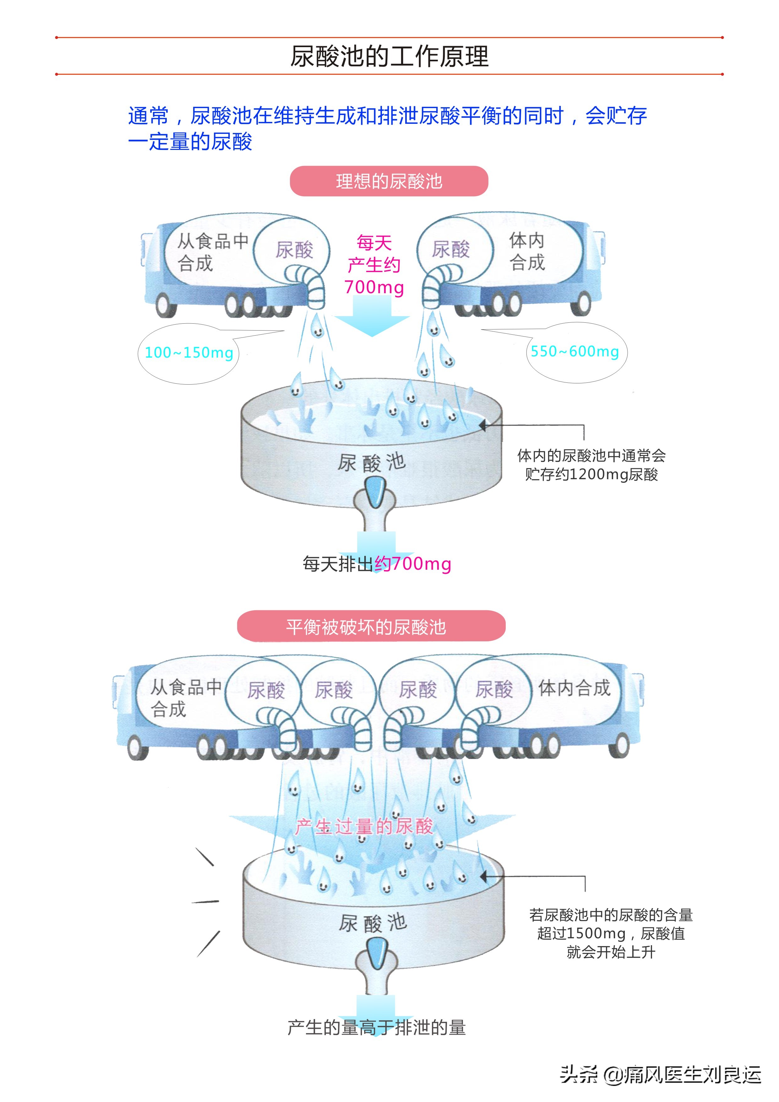 体检尿酸高不一定痛风发作，但你仍需了解血尿酸高的原因和危害