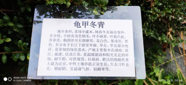 陪你一起看湖北省广水一中①——走进植物王国