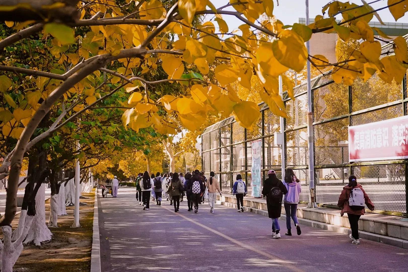 大连民族大学校园风光图片