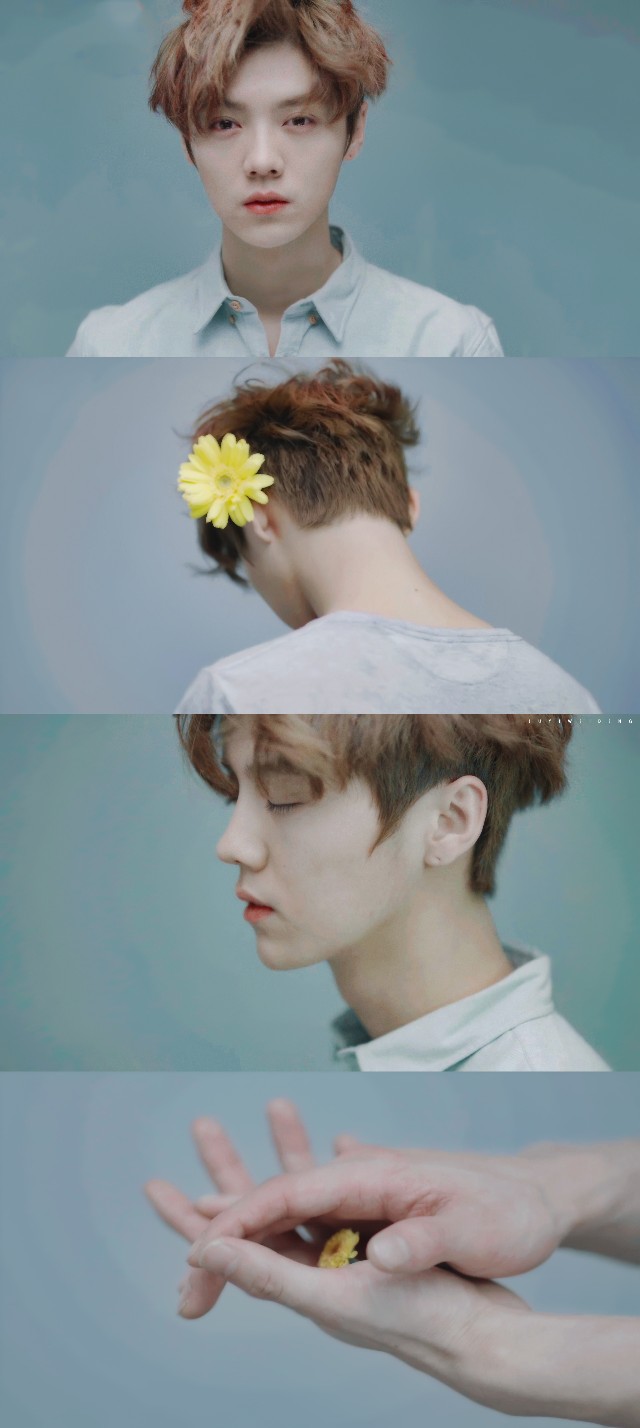 "wish you all the best"   鹿晗 67语录