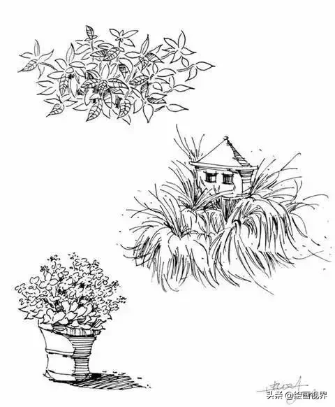 干货！教你15种速写植物配景画法，简单易学，学会画速写很简单