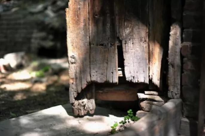 虫字家族：蠹、蛊，刀不用会生锈，人不思考会变笨