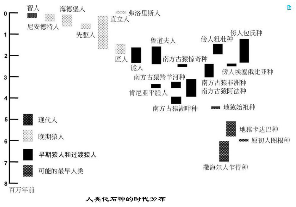 人类进化史图片(进化) - 赤虎壹号