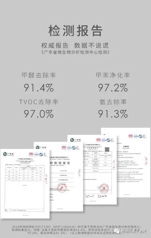 十四年負離子專利品牌|特地斬獲“年度功能性瓷磚（金獎）”