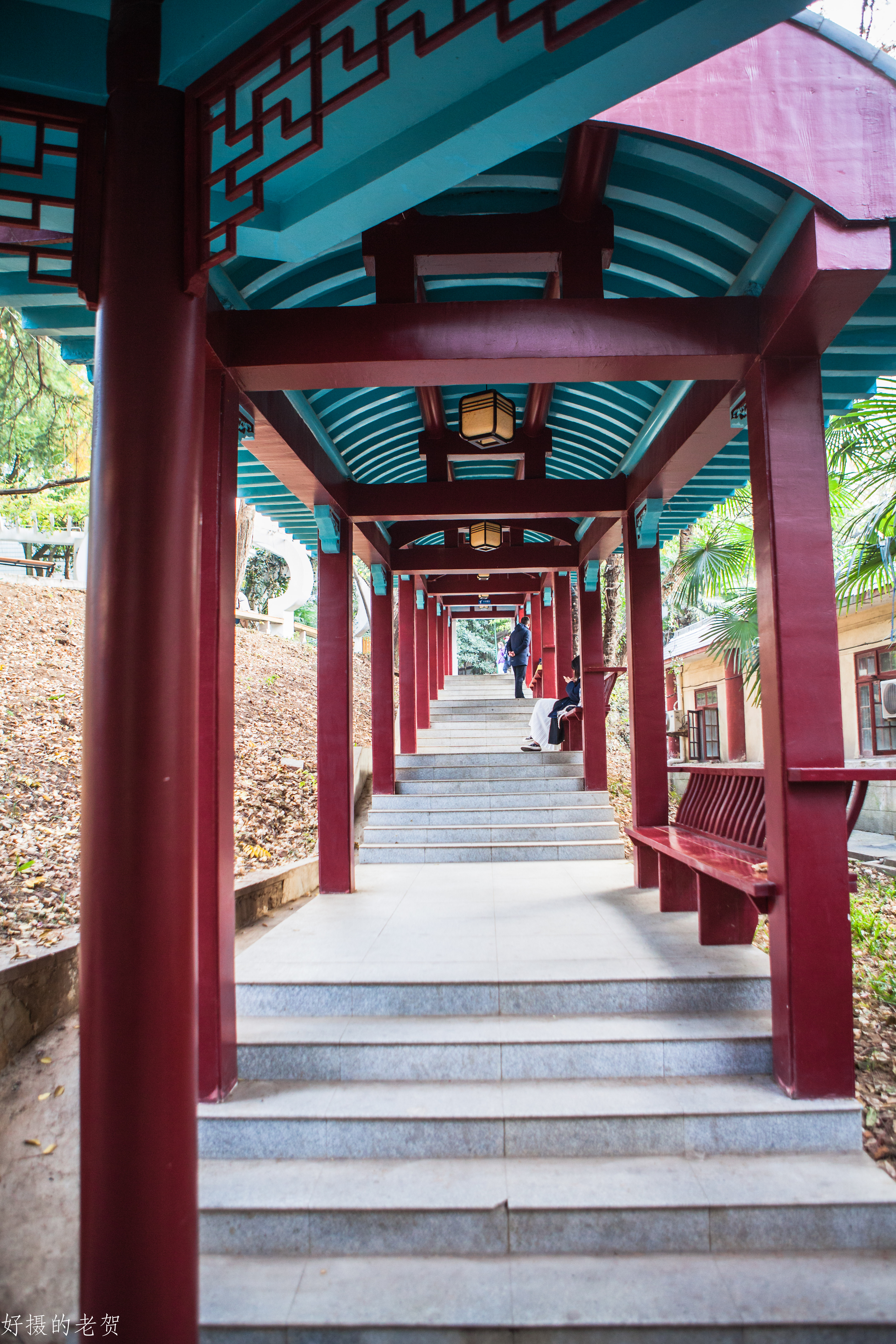 南京师大，曾是中国第一座女子大学，大文豪袁枚的随园所在地