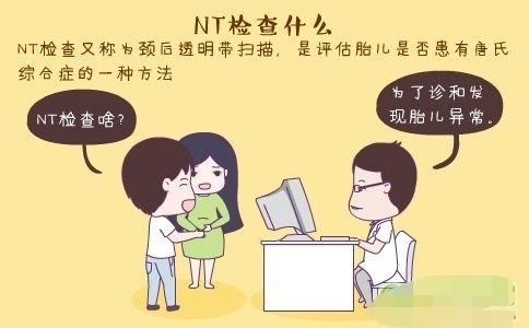 孕期交流：NT检查是什么？去做NT检查前，孕妈妈需要空腹吗？
