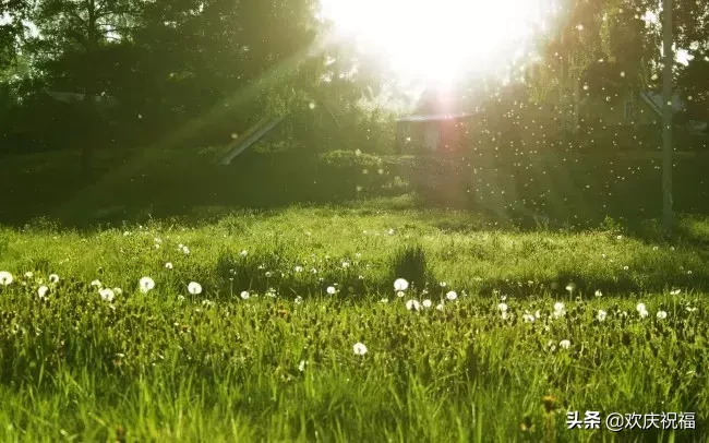 谁陪谁，谁懂谁，谁是谁的谁
