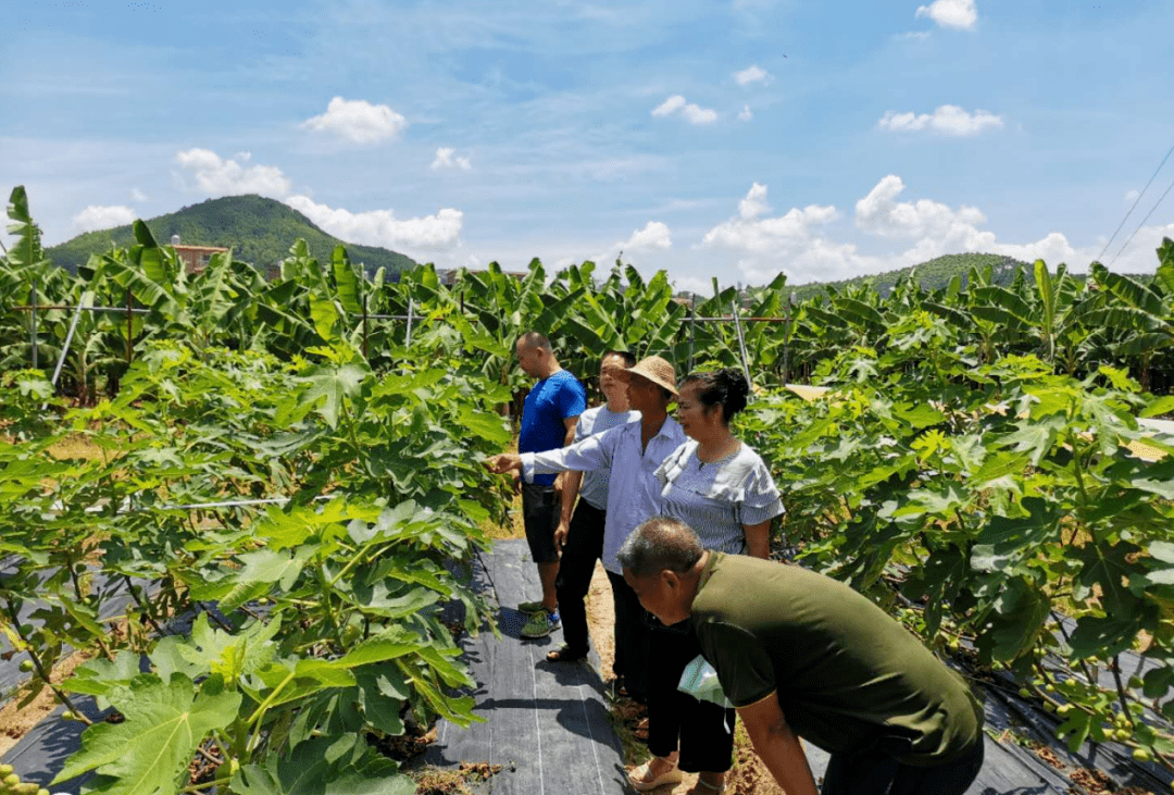 盘点农村创业年入百万的十大杰出人物，最后一位家喻户晓