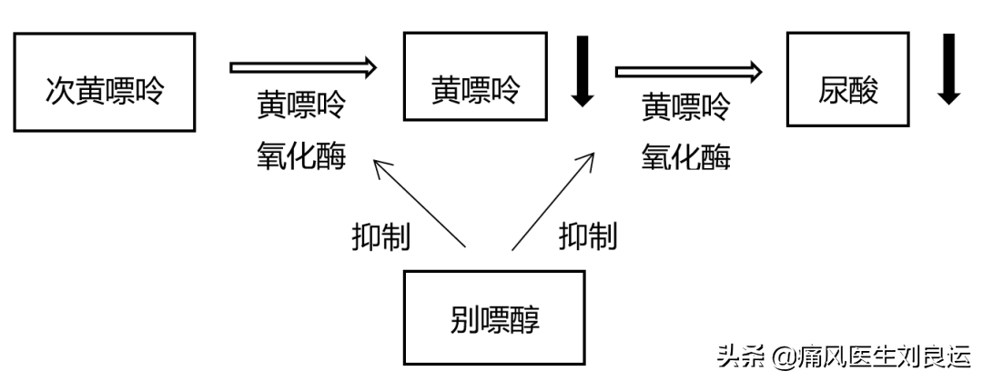 别嘌醇降尿酸好，尿酸高的人都可服用？医生辟谣：别以偏概全