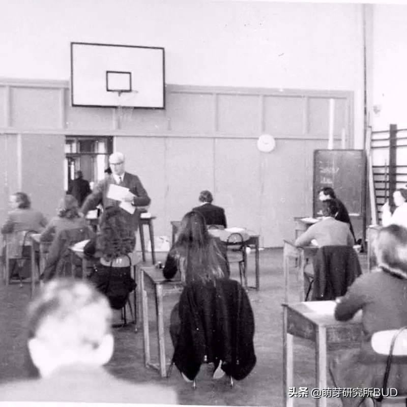 国际学校娃是如何学语文的？还有不得不鸡娃的理由