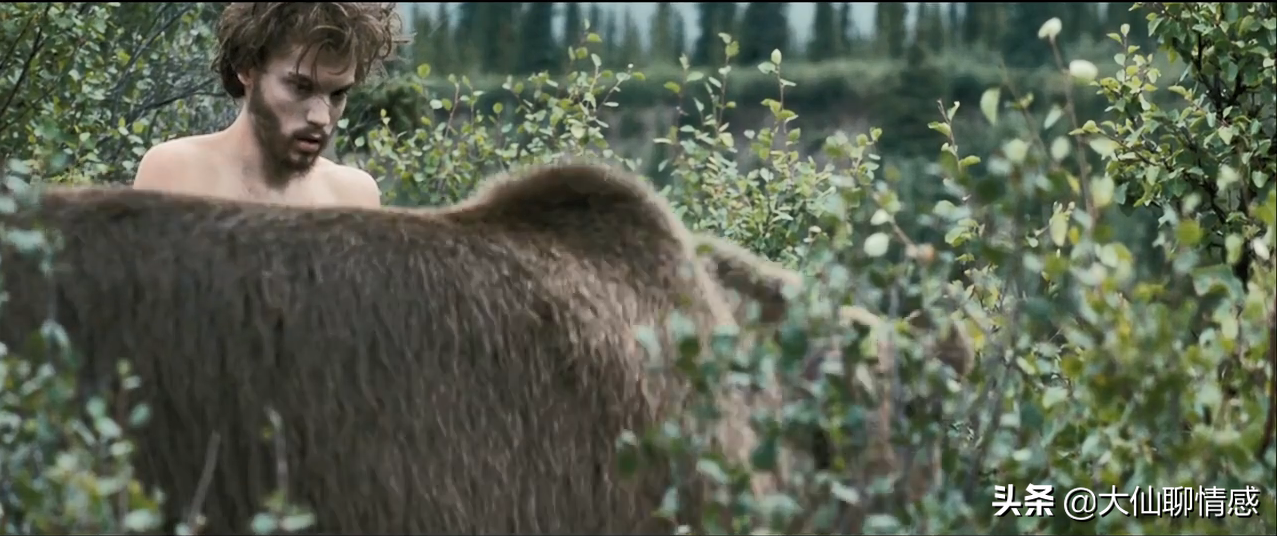 离奇失踪的22岁哈佛学生，死在了一辆废弃巴士里——《荒野求生》