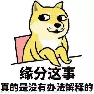 潍坊三胞胎考进同一所大学！高考分数连号！刚刚又同一天结婚！突然间，我又相信缘分了…