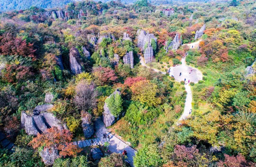 山王坪位于南川,是国家喀斯特生态公园,这里群山环抱,林木葱郁,奇峰异