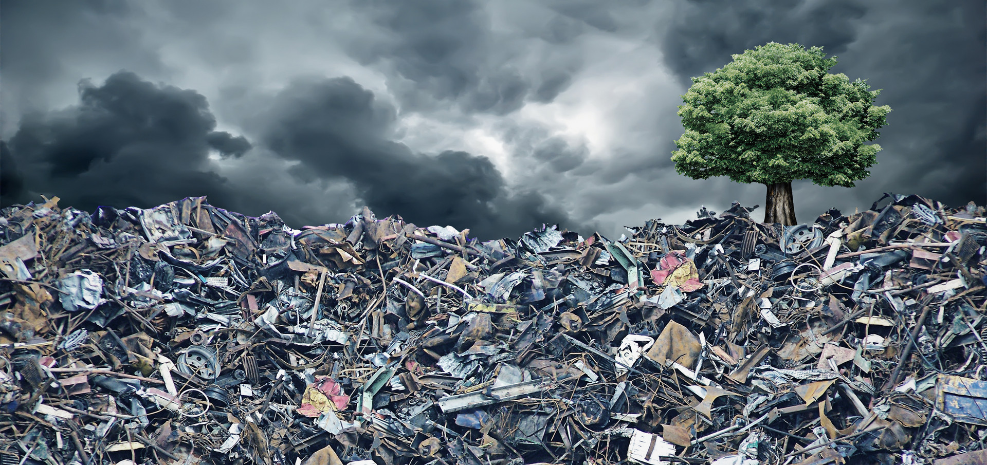 固体废物分类与代码新标准，对企业进行固体废物鉴别有何影响