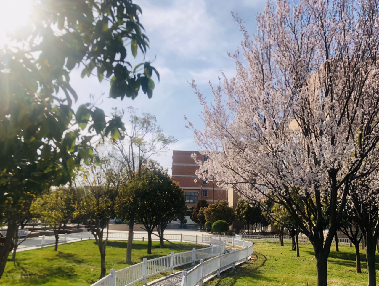 专科中的“清华”，学生不用愁毕业，十有八九都能牵手铁路部门
