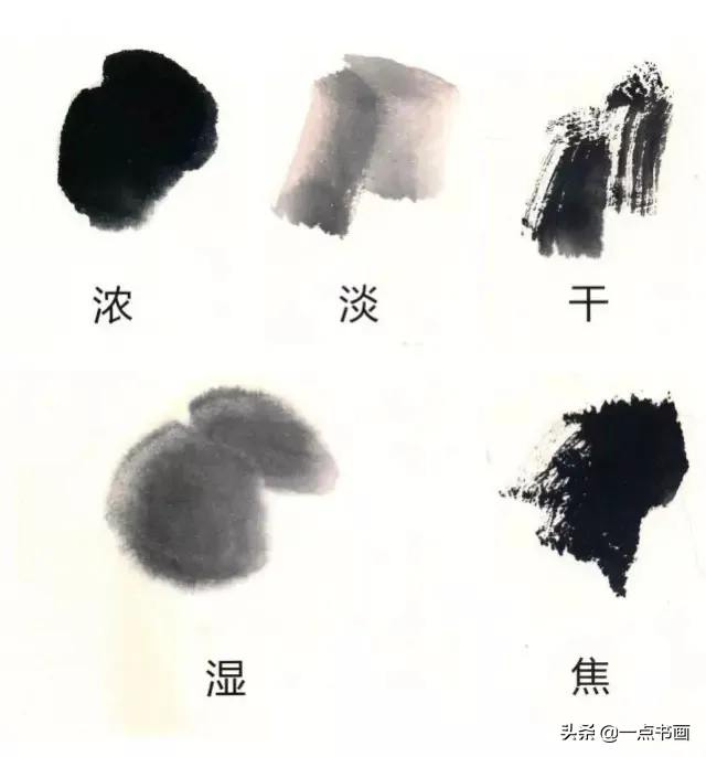一学就会画——小写意禽鸟画法