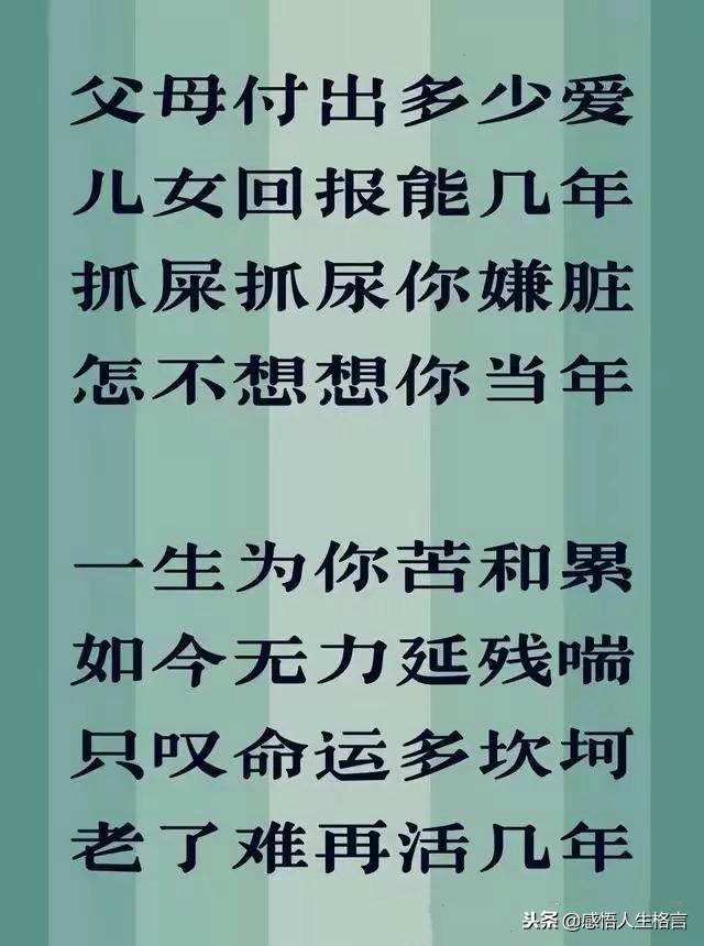 不孝到头终有报，劝君莫把老人嫌
